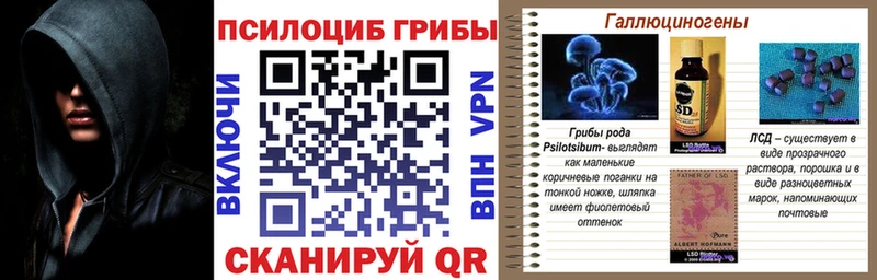 Псилоцибиновые грибы MAGIC MUSHROOMS Купить где Туапсе
